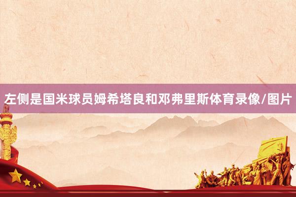 左侧是国米球员姆希塔良和邓弗里斯体育录像/图片