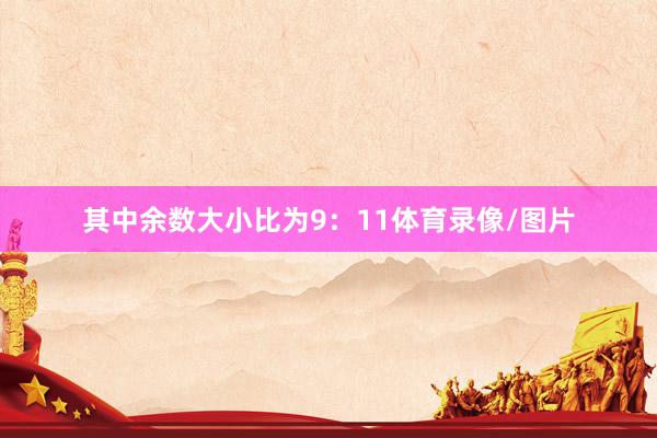 其中余数大小比为9：11体育录像/图片