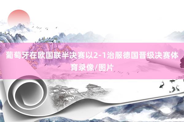 葡萄牙在欧国联半决赛以2-1治服德国晋级决赛体育录像/图片