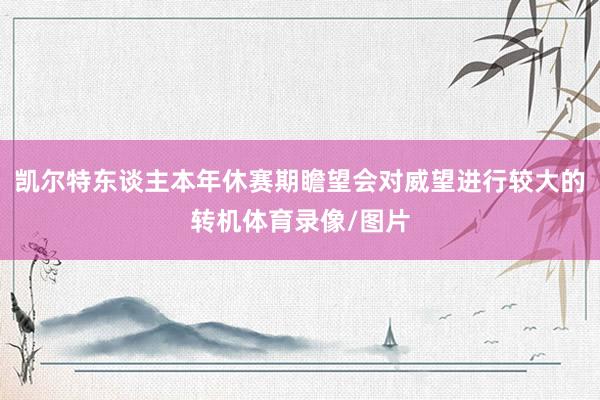 凯尔特东谈主本年休赛期瞻望会对威望进行较大的转机体育录像/图片