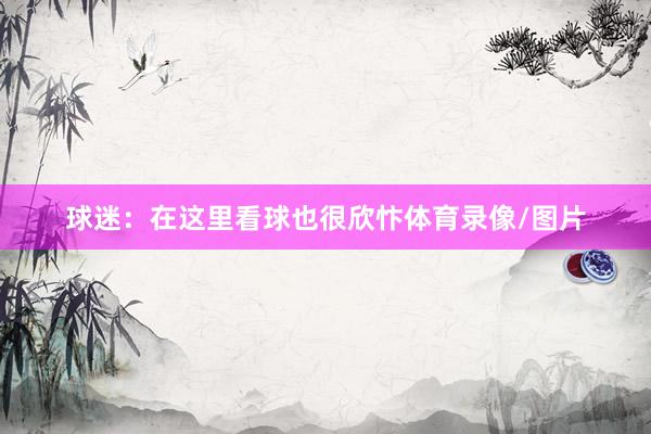 球迷：在这里看球也很欣忭体育录像/图片