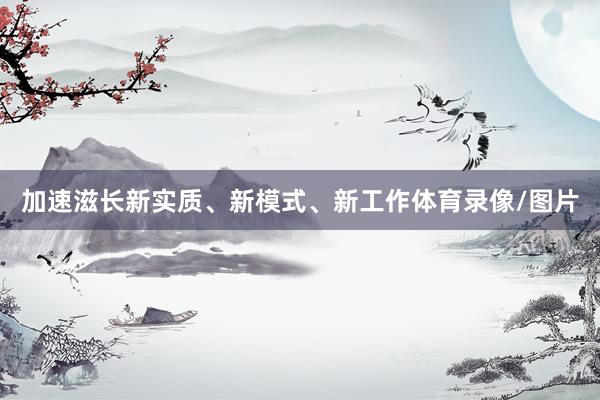 加速滋长新实质、新模式、新工作体育录像/图片