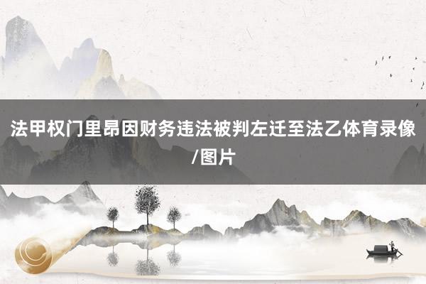 法甲权门里昂因财务违法被判左迁至法乙体育录像/图片