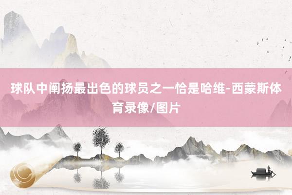 球队中阐扬最出色的球员之一恰是哈维-西蒙斯体育录像/图片