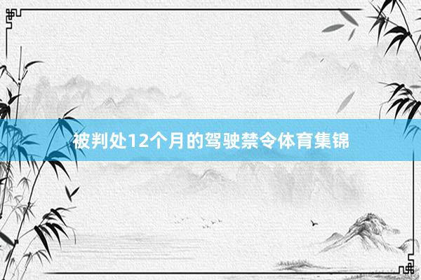 被判处12个月的驾驶禁令体育集锦