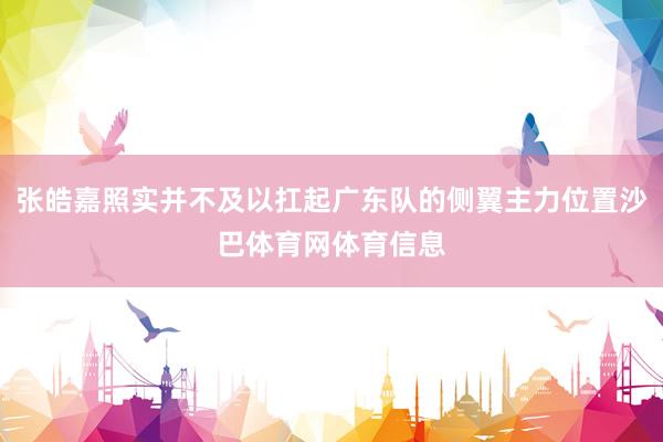 张皓嘉照实并不及以扛起广东队的侧翼主力位置沙巴体育网体育信息