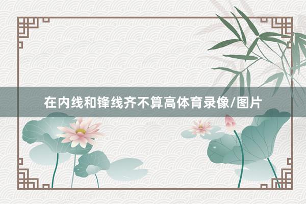 在内线和锋线齐不算高体育录像/图片
