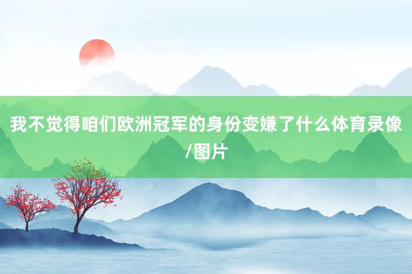 我不觉得咱们欧洲冠军的身份变嫌了什么体育录像/图片
