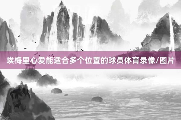 埃梅里心爱能适合多个位置的球员体育录像/图片
