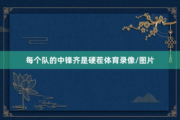 每个队的中锋齐是硬茬体育录像/图片