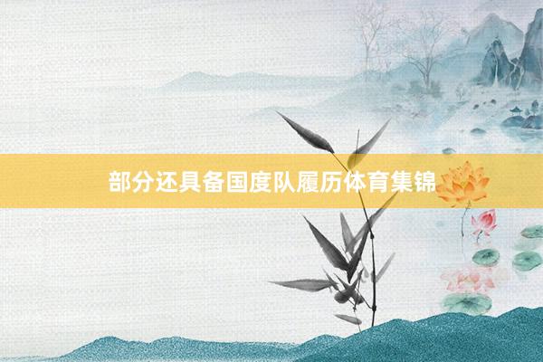 部分还具备国度队履历体育集锦