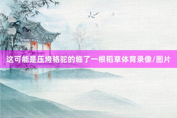 这可能是压垮骆驼的临了一根稻草体育录像/图片