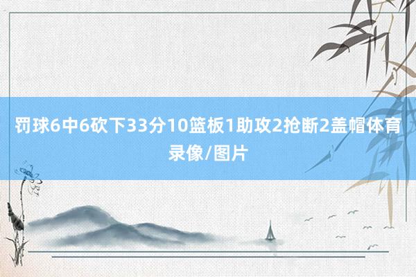 罚球6中6砍下33分10篮板1助攻2抢断2盖帽体育录像/图片