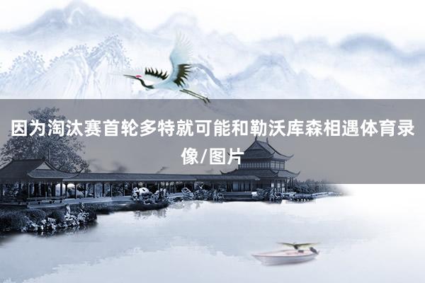 因为淘汰赛首轮多特就可能和勒沃库森相遇体育录像/图片