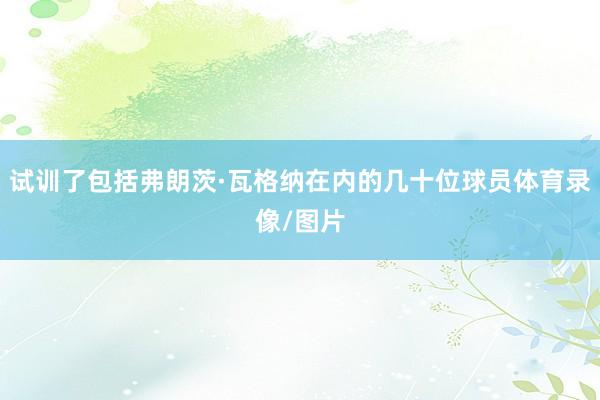 试训了包括弗朗茨·瓦格纳在内的几十位球员体育录像/图片