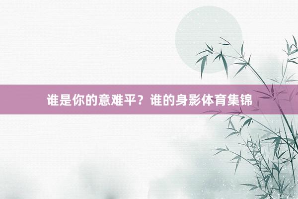 谁是你的意难平？谁的身影体育集锦