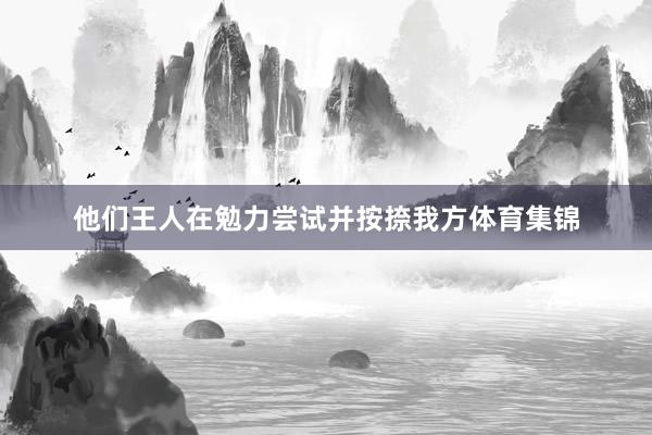 他们王人在勉力尝试并按捺我方体育集锦