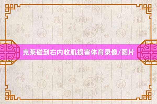 克莱碰到右内收肌损害体育录像/图片