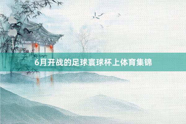 6月开战的足球寰球杯上体育集锦