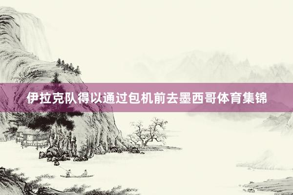 伊拉克队得以通过包机前去墨西哥体育集锦