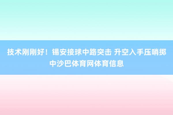 技术刚刚好！锡安接球中路突击 升空入手压哨掷中沙巴体育网体育信息